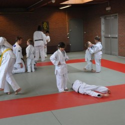 DSC 0225  Medium - Judoclub Zaventem 