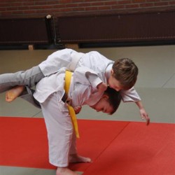 DSC 0235  Medium - Judoclub Zaventem 