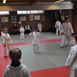 DSC 0240  Medium - Judoclub Zaventem 