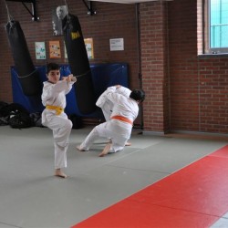 DSC 0242  Medium - Judoclub Zaventem 
