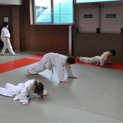 DSC 0243  Medium - Judoclub Zaventem 