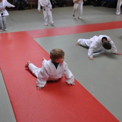 DSC 0253  Medium - Judoclub Zaventem 