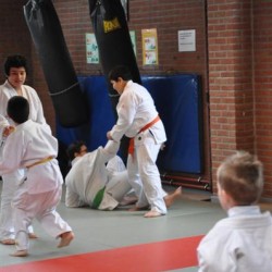 DSC 0255  Medium - Judoclub Zaventem 