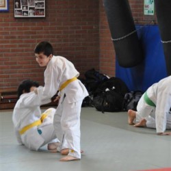 DSC 0256  Medium - Judoclub Zaventem 