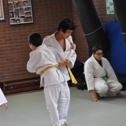 DSC 0257  Medium - Judoclub Zaventem 