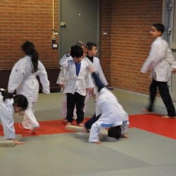 DSC 0307  Medium - Judoclub Zaventem 