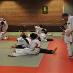 DSC 0336  Medium - Judoclub Zaventem 