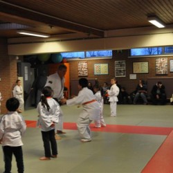 DSC 0341  Medium - Judoclub Zaventem 