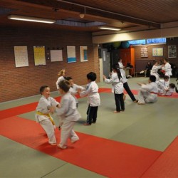 DSC 0342  Medium - Judoclub Zaventem 