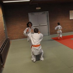 DSC 0343  Medium - Judoclub Zaventem 