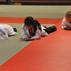DSC 0347  Medium - Judoclub Zaventem 