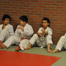 DSC 0362  Medium - Judoclub Zaventem 
