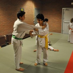 DSC 0366  Medium - Judoclub Zaventem 