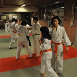 DSC 0371  Medium - Judoclub Zaventem 