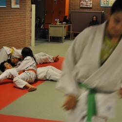 DSC 0383  Medium - Judoclub Zaventem 