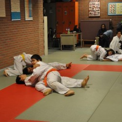 DSC 0384  Medium - Judoclub Zaventem 