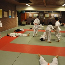DSC 0387  Medium - Judoclub Zaventem 