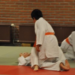 DSC 0401  Medium - Judoclub Zaventem 