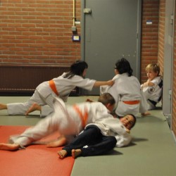 DSC 0402  Medium - Judoclub Zaventem 