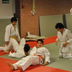 DSC 0410  Medium - Judoclub Zaventem 