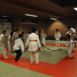 DSC 0414  Medium - Judoclub Zaventem 