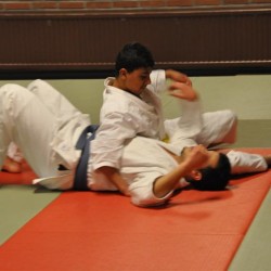 DSC 0434  Medium - Judoclub Zaventem 