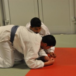 DSC 0446  Medium - Judoclub Zaventem 