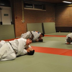DSC 0448  Medium - Judoclub Zaventem 