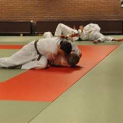 DSC 0450  Medium - Judoclub Zaventem 