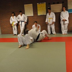 DSC 0453  Medium - Judoclub Zaventem 