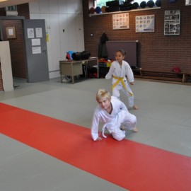 DSC 0011  Medium - Judoclub Zaventem 