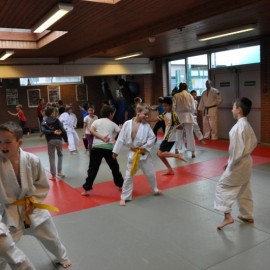 DSC 0034  Medium - Judoclub Zaventem 
