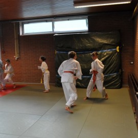 DSC 0035  Medium - Judoclub Zaventem 
