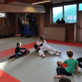 DSC 0073  Medium - Judoclub Zaventem 