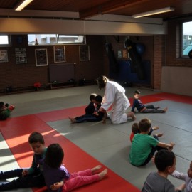 DSC 0077  Medium - Judoclub Zaventem 