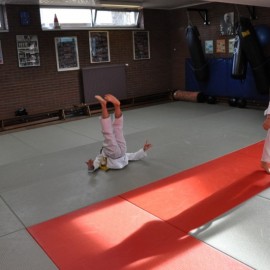 DSC 0107  Medium - Judoclub Zaventem 