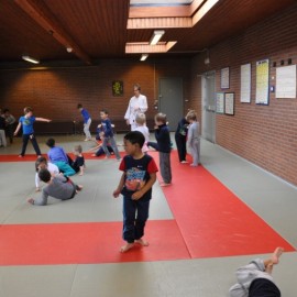 DSC 0135  Medium - Judoclub Zaventem 