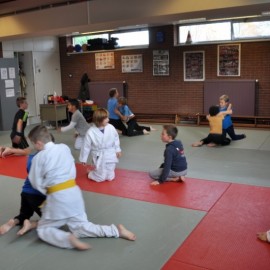 DSC 0178  Medium - Judoclub Zaventem 