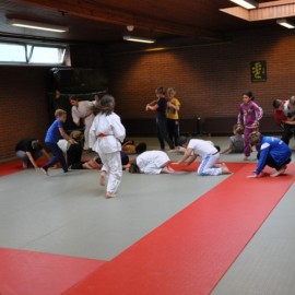 DSC 0259  Medium - Judoclub Zaventem 
