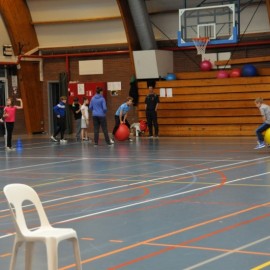 DSC 0267  Medium - Judoclub Zaventem 
