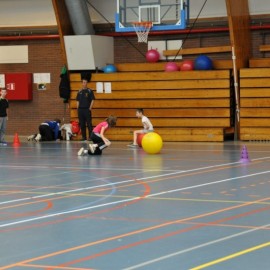 DSC 0270  Medium - Judoclub Zaventem 