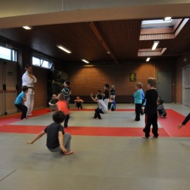DSC 0507  Medium - Judoclub Zaventem 