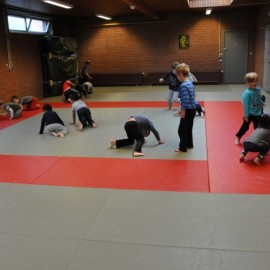 DSC 0518  Medium - Judoclub Zaventem 
