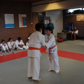 DSC 0027  Small - Judoclub Zaventem 